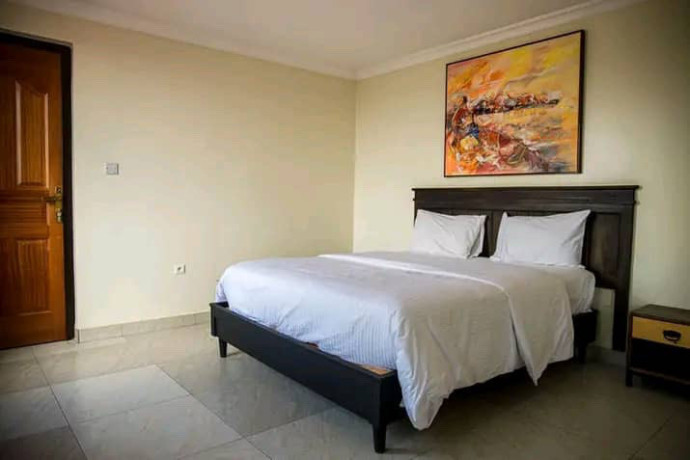 remera-close-to-rdb-beautiful-apartments-for-rent-in-kigali-big-1