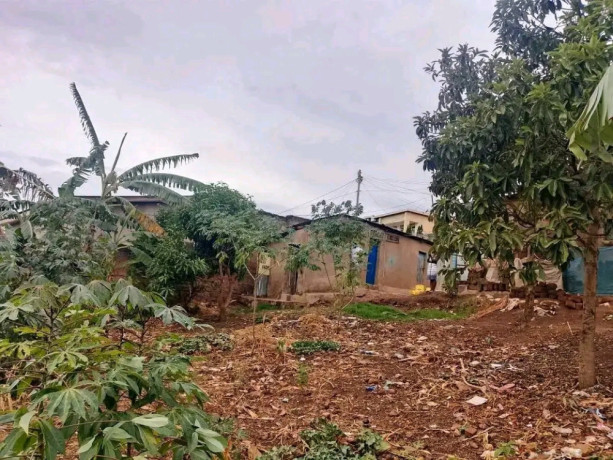 gikondo-kanserege-residential-plot-for-sale-130million-big-1