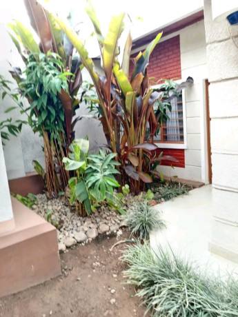 kigali-fully-furnished-house-available-for-rent-in-kacyiru-big-0