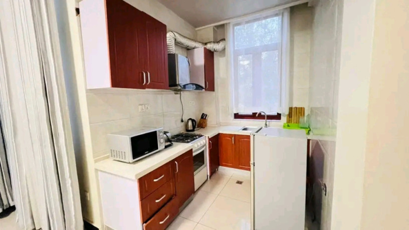 gishushu-near-rdb-fully-furnished-apartment-for-rent-big-2