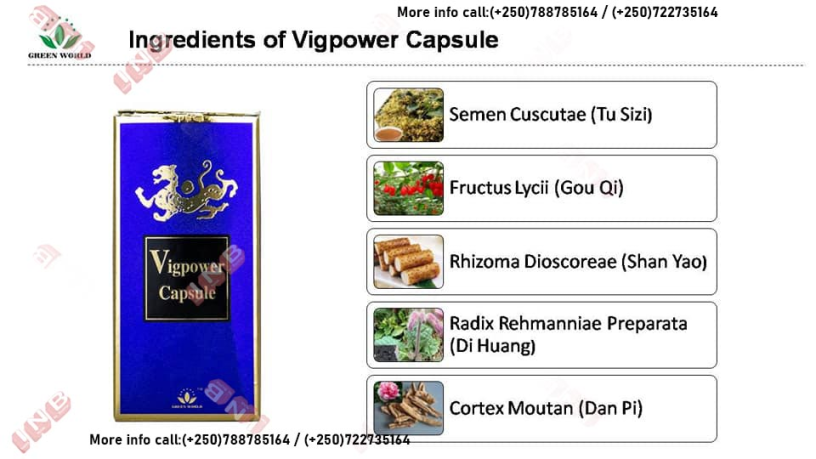vigpower-capsules-big-1