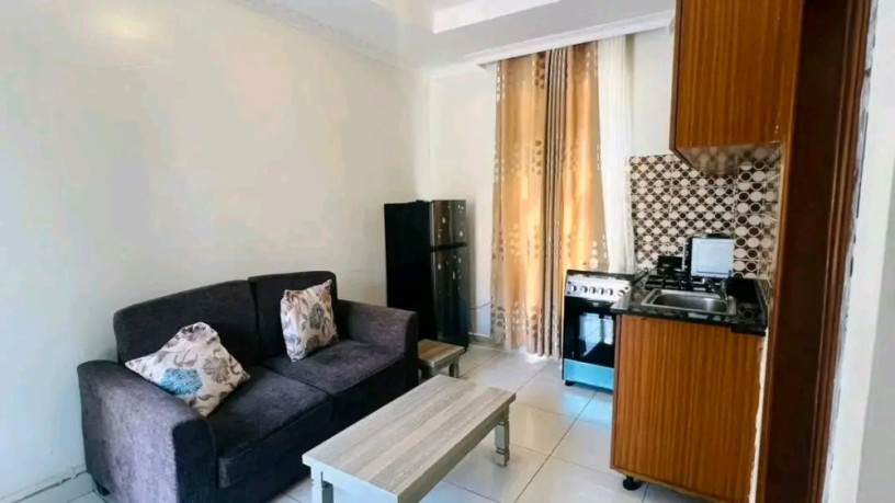 gacuriro-furnished-apartment-for-rent-big-0