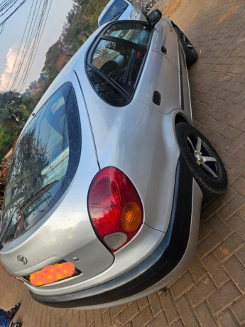 corolla-maco-big-1