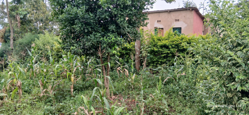 land-for-sale-at-kinyinya-big-4