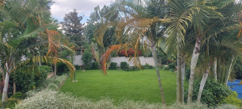office-house-available-for-rent-at-kimihurura-big-3