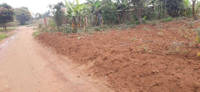 industrial-land-for-sale-in-bugesera-near-airport-of-rwanda-big-1