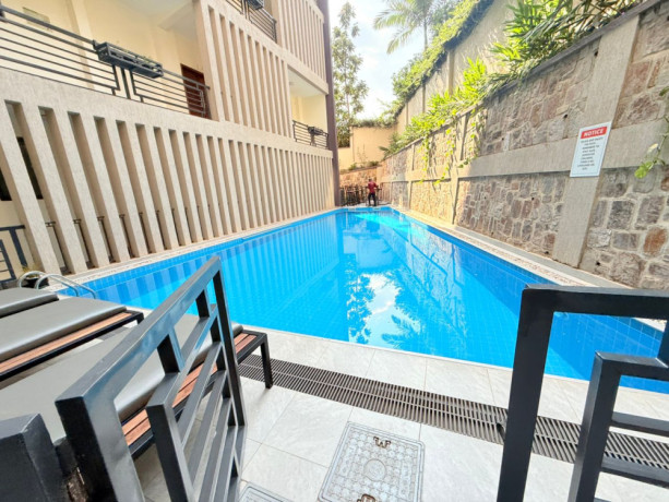 kimihurura-nice-furnished-apartment-for-rent-in-kigali-big-8