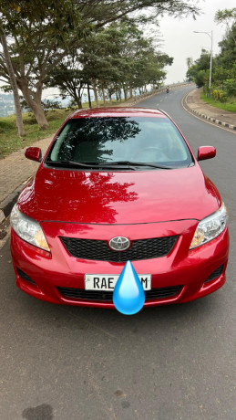 toyota-corolla-big-2