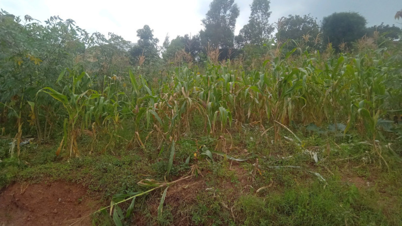 kigali-land-for-sale-in-gisozi-big-1