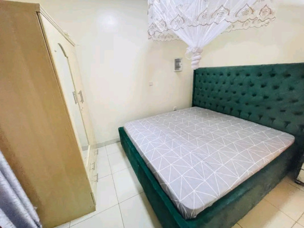 this-is-beautiful-fully-furnished-house-for-rent-in-rebero-big-13