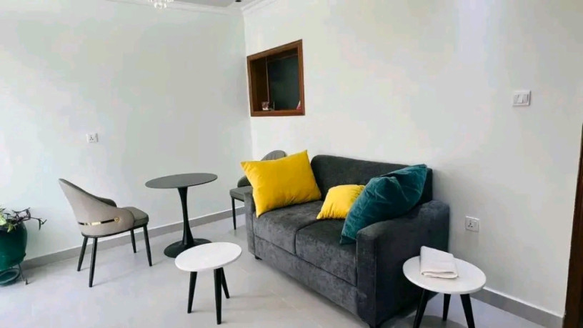 gishushu-furnished-1bedroom-apartment-for-rent-at-700k-in-good-location-big-2