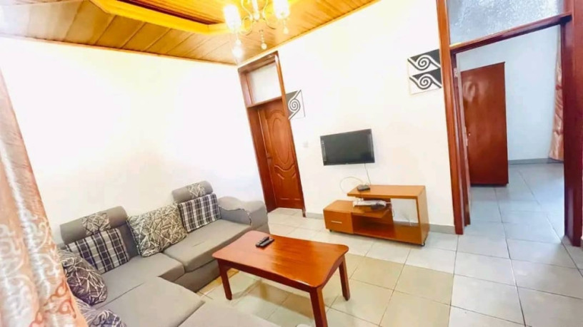 remera-fully-furnished-apartment-for-rent-in-kigali-big-1