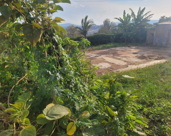 residential-plot-for-sale-near-the-road-and-good-neighbors-big-0