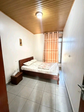 furnished-apartment-for-rent-2bed-2bath-big-8