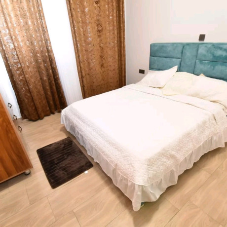 niboye-nice-fully-furnished-apartment-for-rent-in-kigali-big-4
