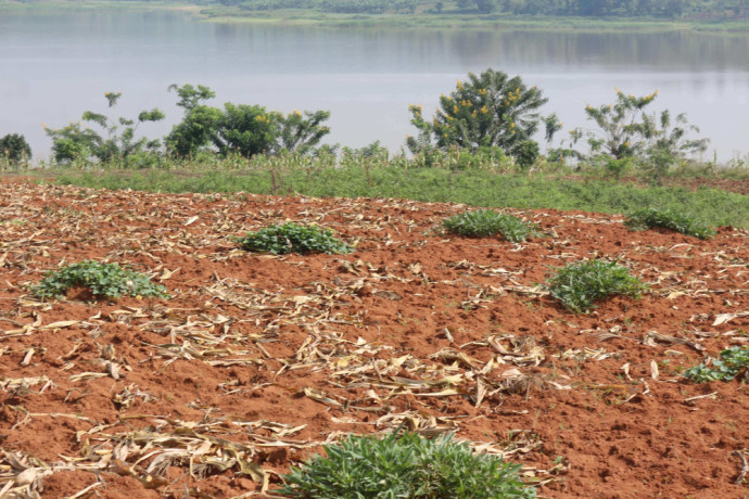 land-on-lake-for-sale-in-bugesera-near-airport-of-rwanda-big-2