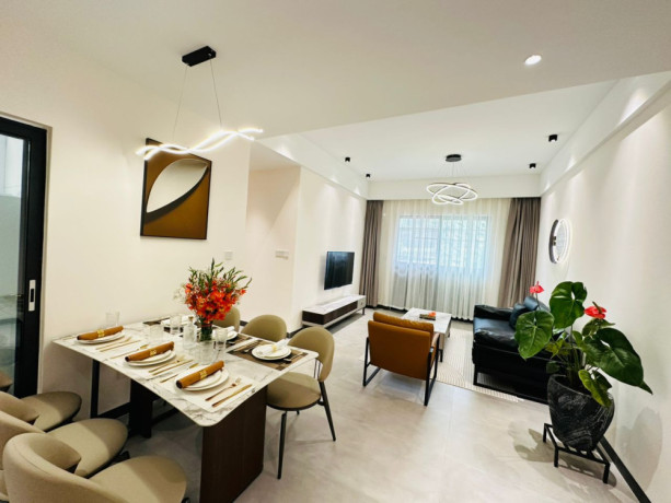 kiyovu-very-nice-luxurious-apartment-for-rent-in-kigali-big-2