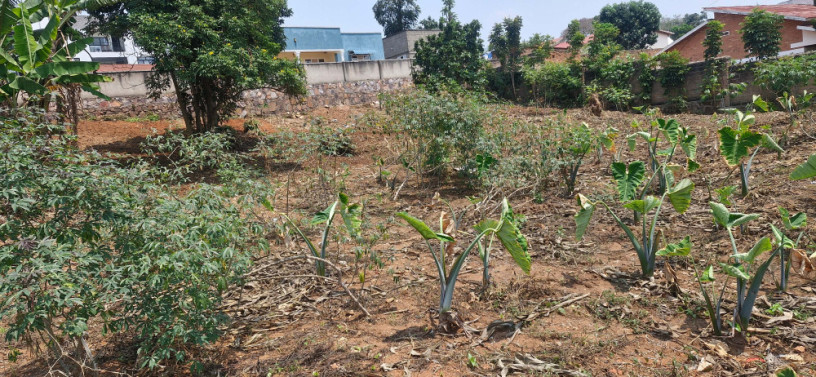 kigali-plot-for-sale-in-kanombe-rwanda-near-airport-of-kanombe-big-0