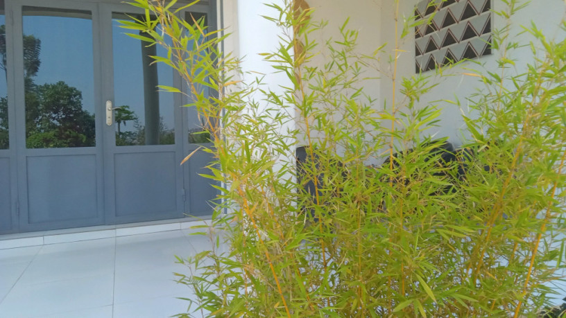 kigali-house-for-sale-in-kacyiru-big-2