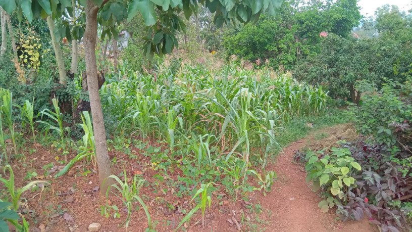 kigali-plot-for-sale-in-rebero-big-0