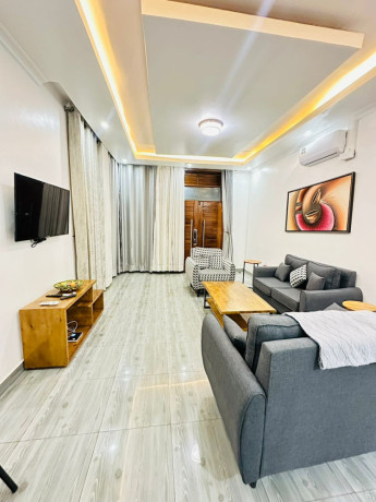 this-is-beautifully-fully-furnished-apartments-for-rent-in-rebero-big-12