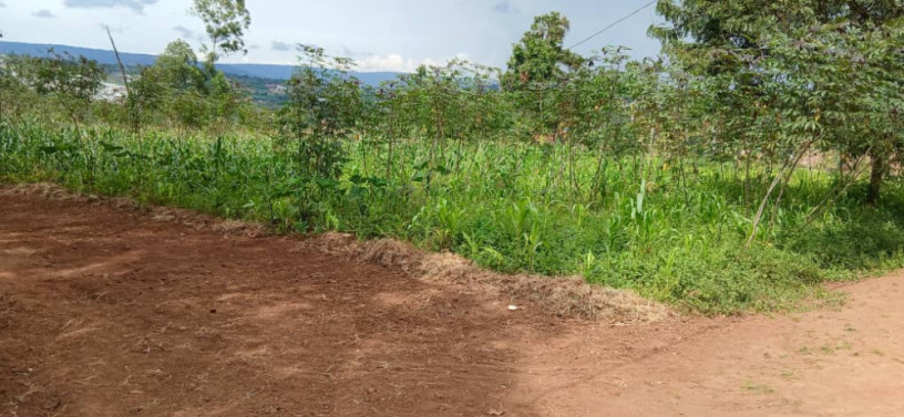 proparty-for-sale-in-rusosoro-big-2