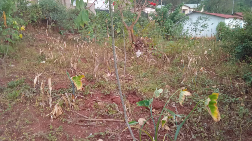 kigali-land-for-sale-in-rebero-facing-nyamirambo-side-big-0
