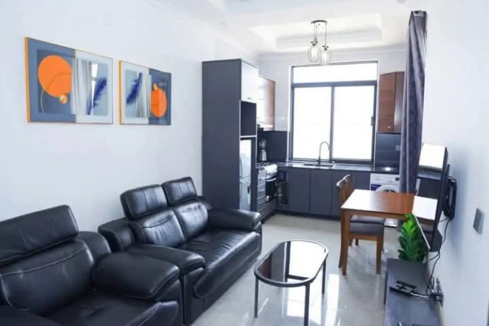 kigali-fully-furnished-apartments-for-rent-in-kimihurura-big-4