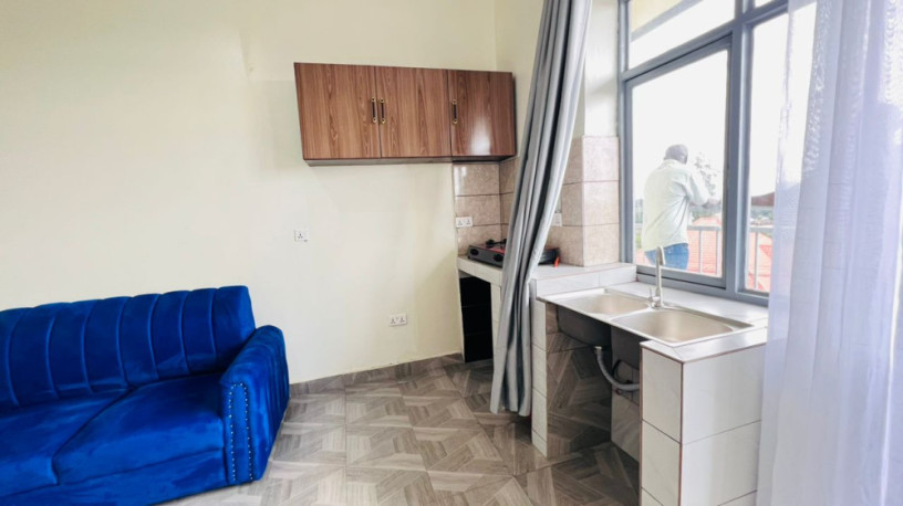 remera-400k-new-1bedroom-furnished-apartment-for-rent-big-2