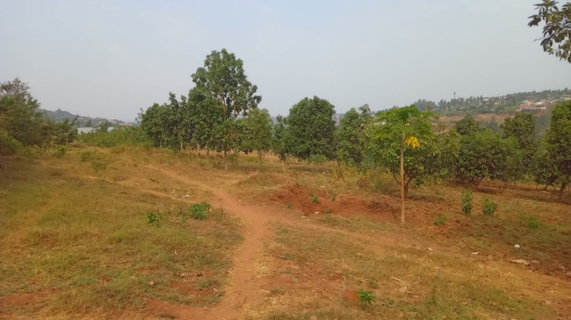 plot-for-sale-in-ndera-on-auctioncyamunara-big-9