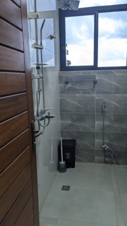 bb009-kibagabaga-very-nice-fully-furnished-apartment-for-rent-big-5