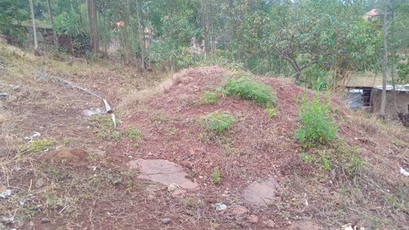 kigali-land-for-sale-in-rebero-rujugiro-big-5