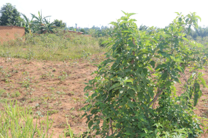 residential-land-for-sale-in-bugesera-of-rwanda-big-2