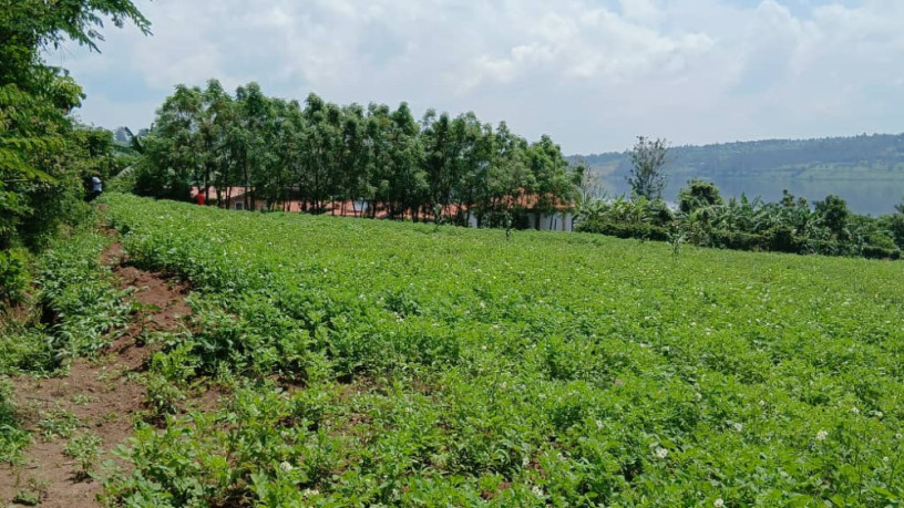 gatsibo-muhazi-plot-for-sale-big-12