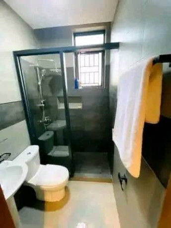 remera-very-nice-fully-furnished-apartments-for-rent-in-best-neighborhood-big-6