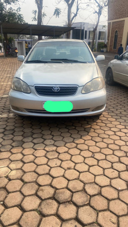 toyota-corolla-big-2