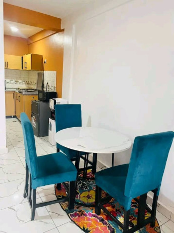 nyarutarama-furnished-apartment-for-rent-big-4