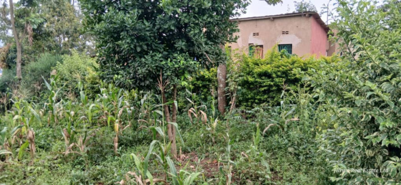 kinyinya-plot-for-sale-big-2