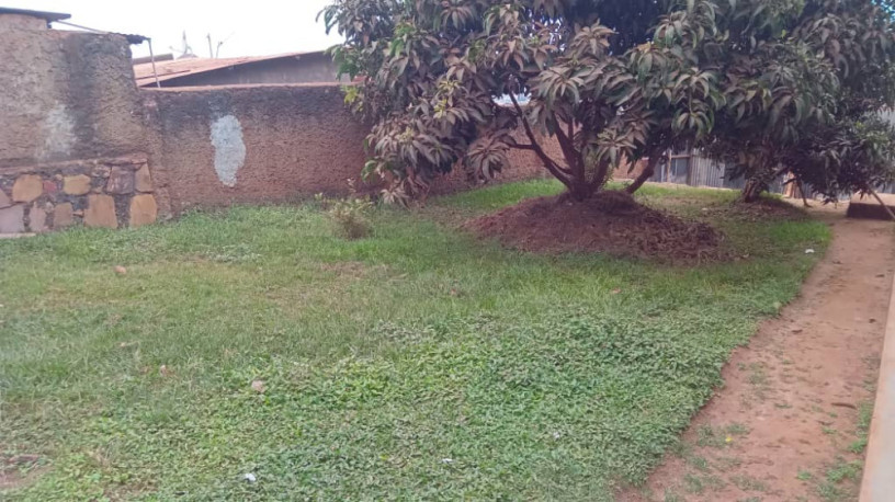 land-with-an-old-house-for-sale-big-0