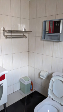 bb-082-kibagabaga-cheapest-fully-furnished-house-for-rent-big-2
