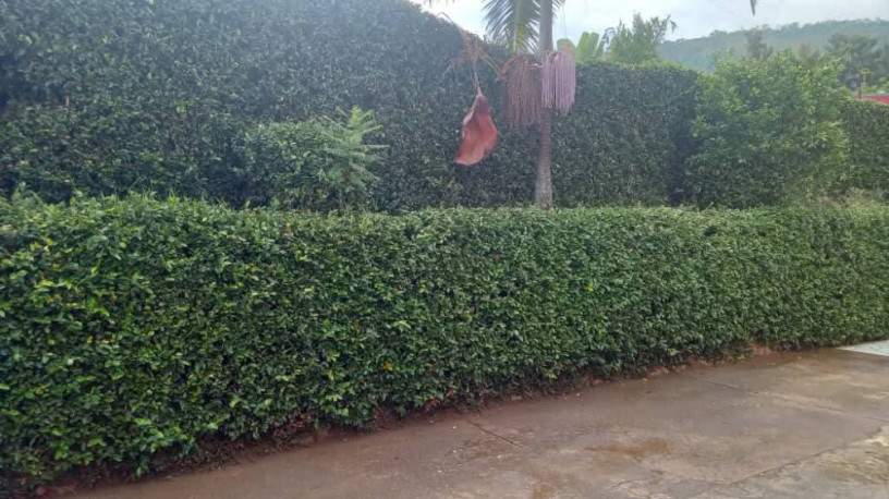 kigali-house-for-sale-in-nyamirambo-big-5