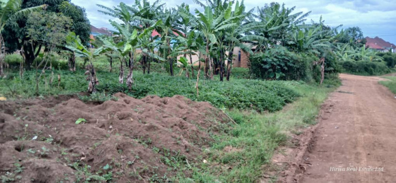 plot-for-sale-inbusanza-at-a-good-price-big-2