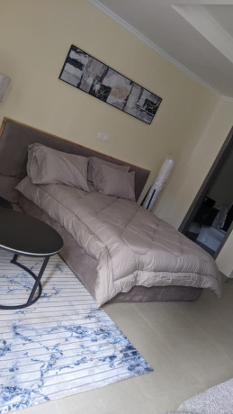 bs-56-gacuriro-new-fully-furnished-studio-apartments-for-rent-big-5