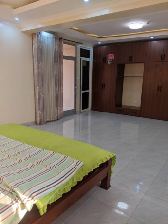 kacyiru-fully-furnished-apartment-for-rent-big-5