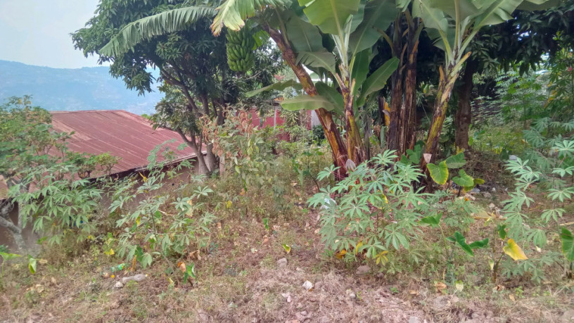 kigali-land-for-sale-in-nyamirambo-big-6