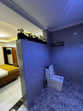 gishushu-1bed-1bath-furnished-apartment-for-rent-in-kigali-big-9