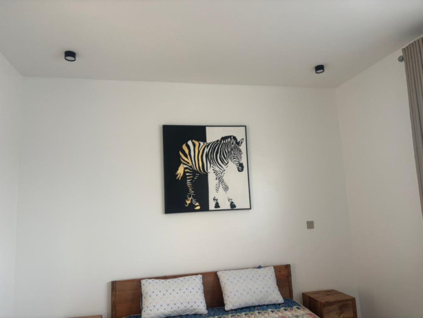 kibagabaga-furnished-apartment-for-rent-in-kigali-big-9