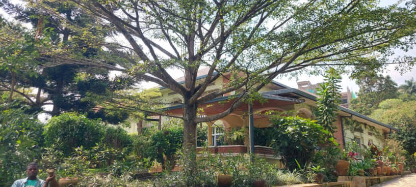 kigali-unfurnished-family-villa-available-for-rent-in-nyarutarama-big-4