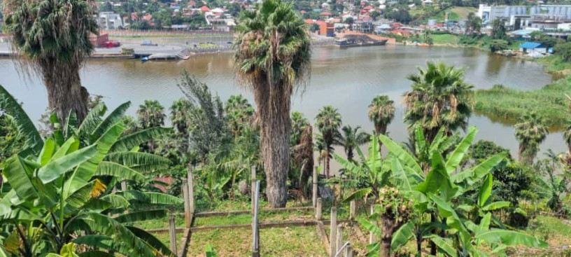 gisenyi-boraseri-plots-for-sale-big-7