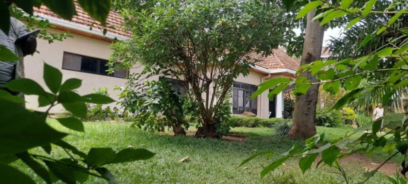 kigali-fully-furnished-house-for-rent-in-kacyiru-big-0